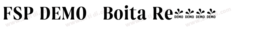 FSP DEMO   Boita Re字体转换